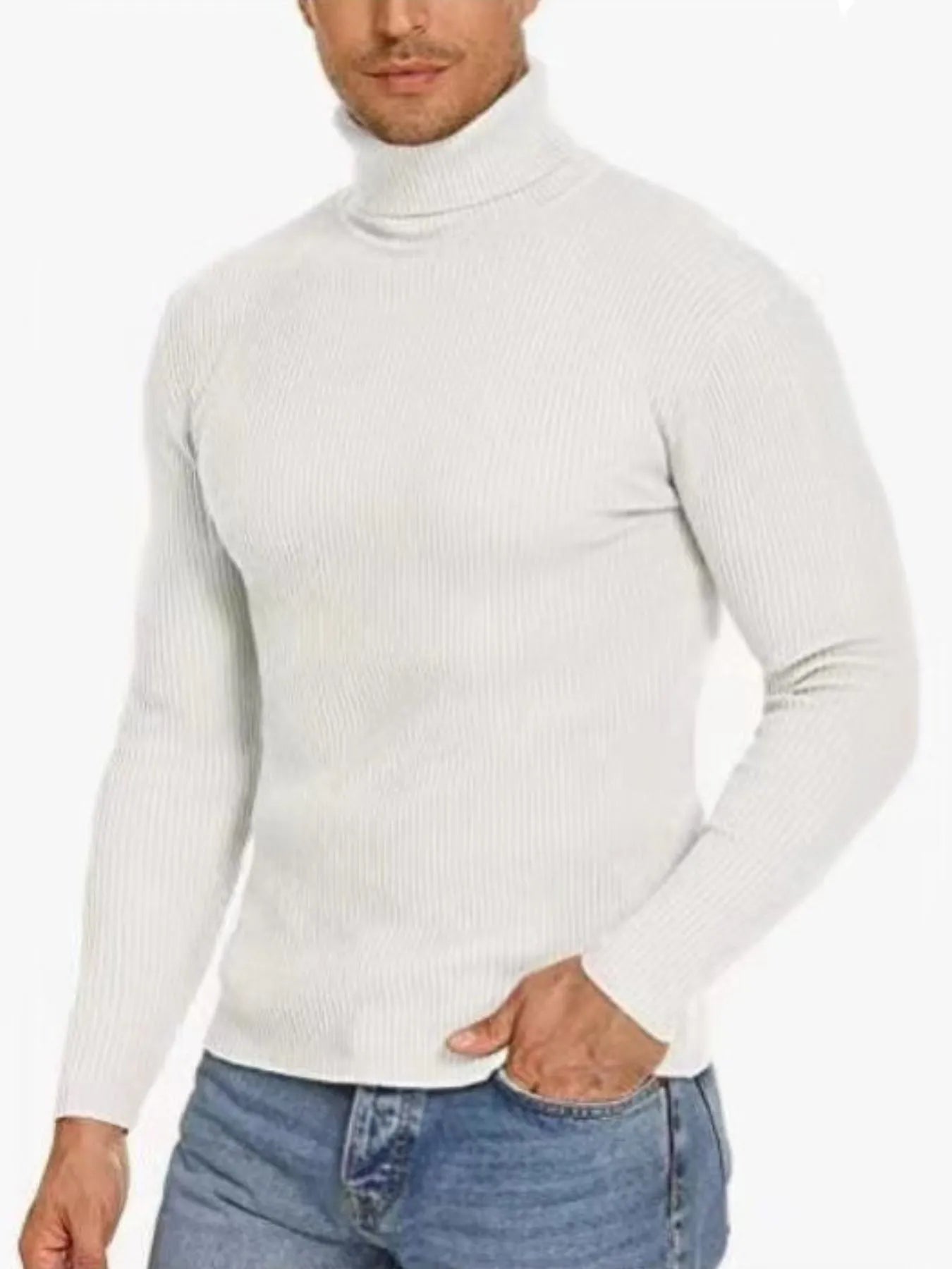 Men's Plus Size Ribbed Turtleneck Long Sleeve Sweater Black / M