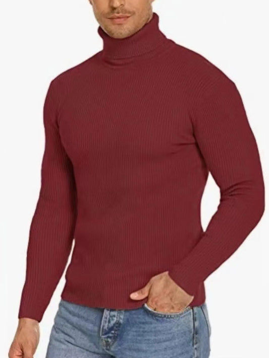 Men's Plus Size Ribbed Turtleneck Long Sleeve Sweater Black / M