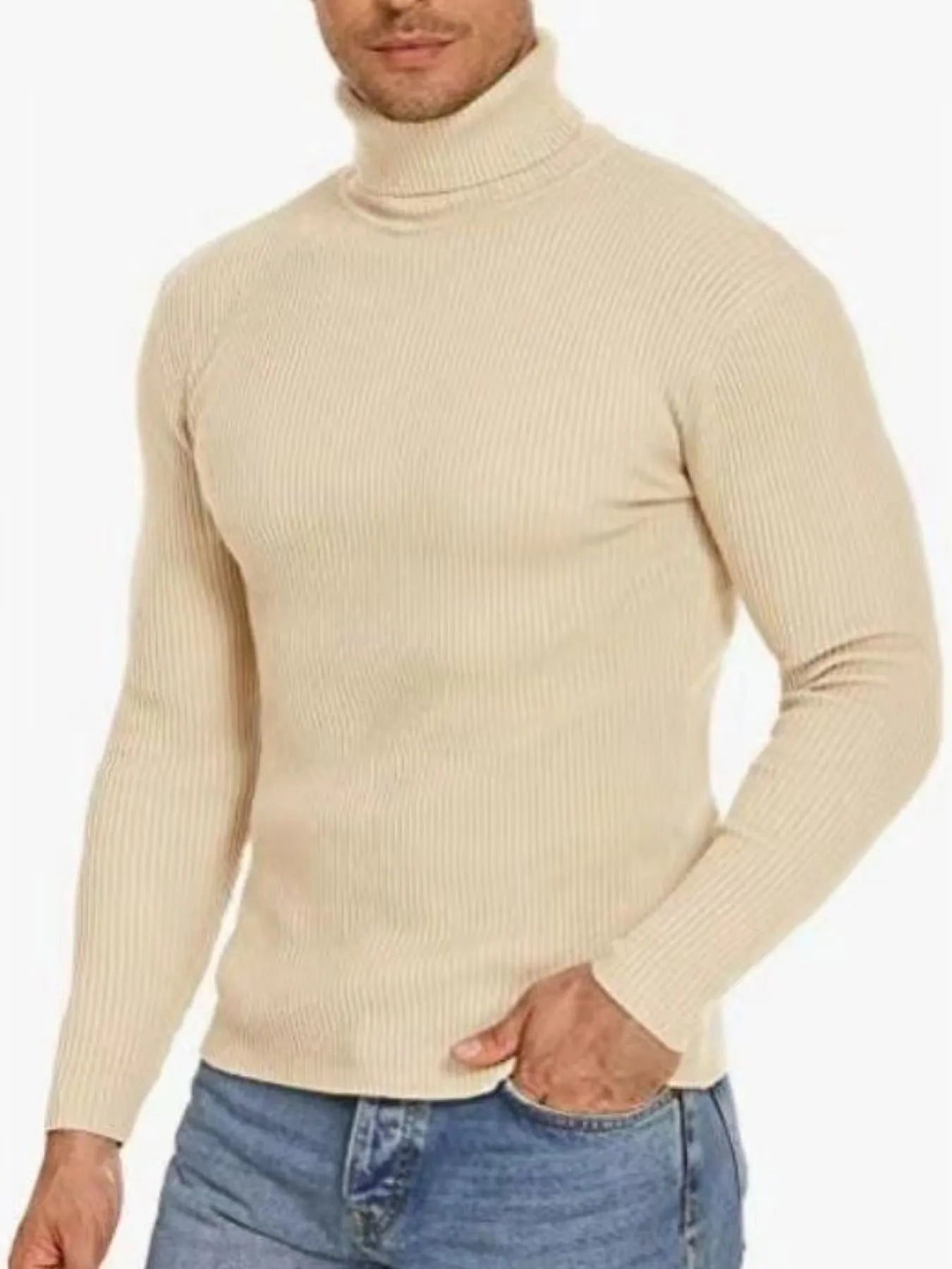 Men's Plus Size Ribbed Turtleneck Long Sleeve Sweater Black / M
