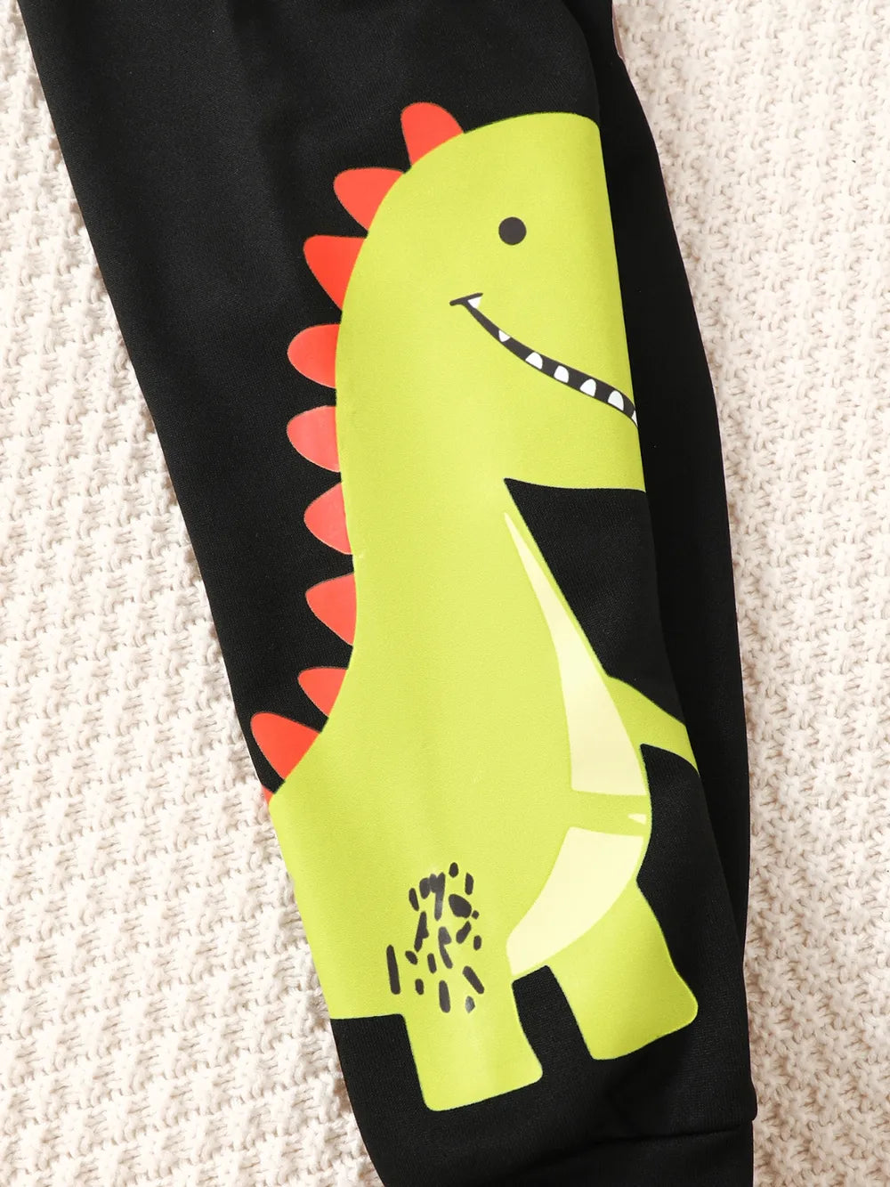 Children's Dinosaur Graphic Sweatshirt and Pants Set Black / 4Y 