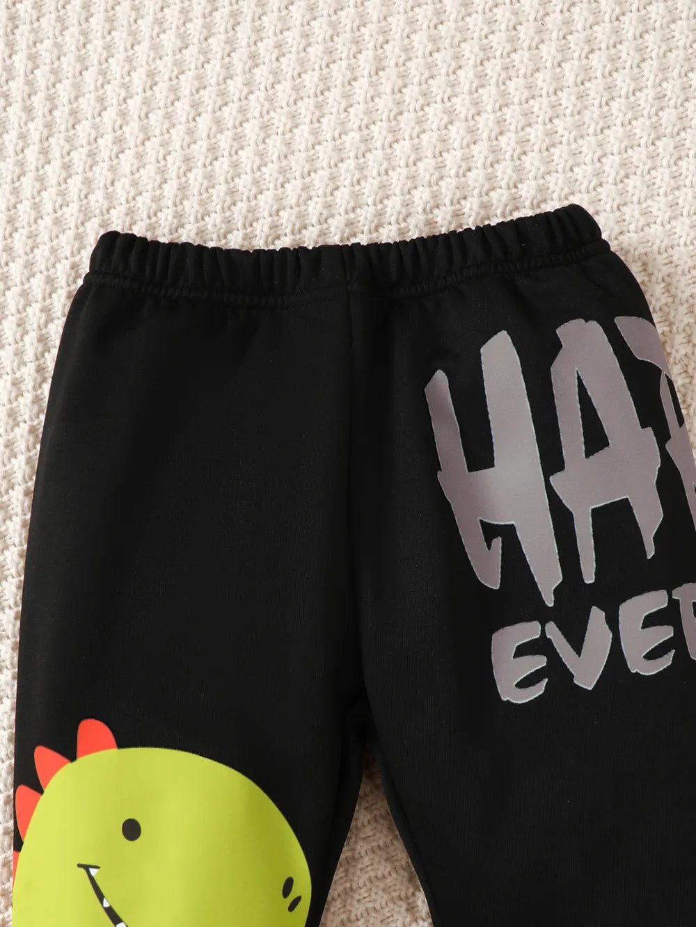 Children's Dinosaur Graphic Sweatshirt and Pants Set Black / 4Y 