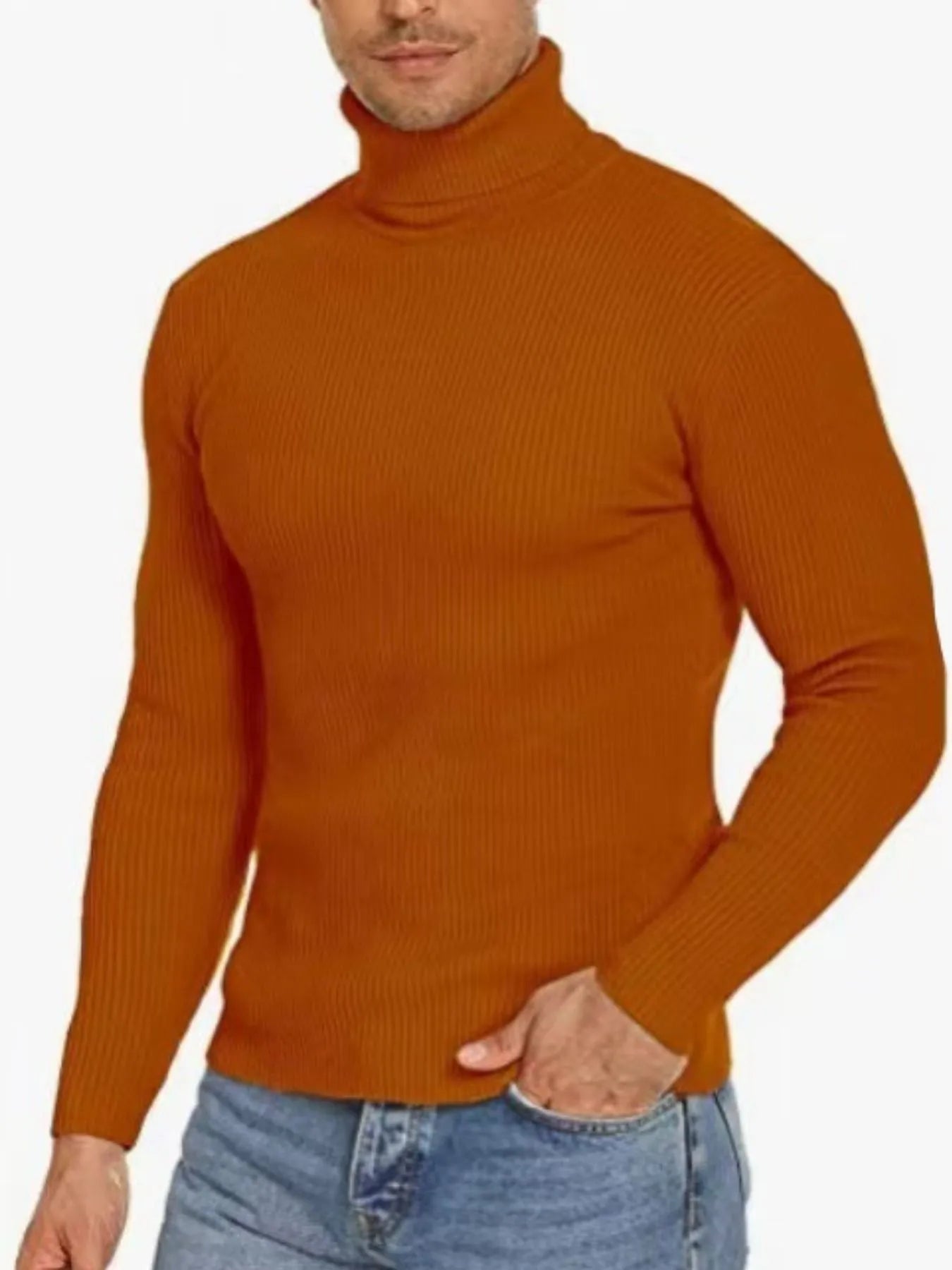 Men's Plus Size Ribbed Turtleneck Long Sleeve Sweater Black / M 