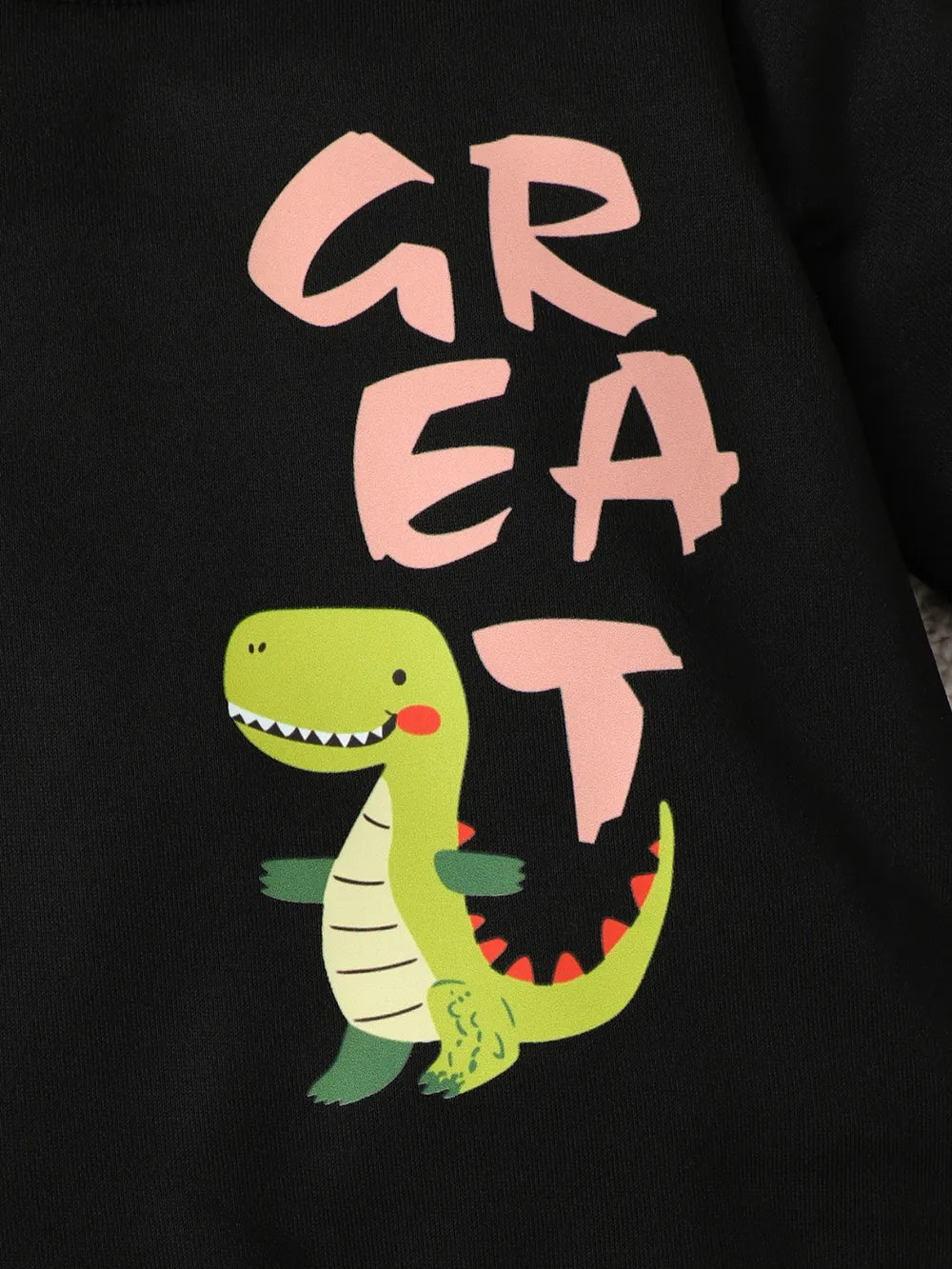 Children's Dinosaur Graphic Sweatshirt and Pants Set Black / 4Y 
