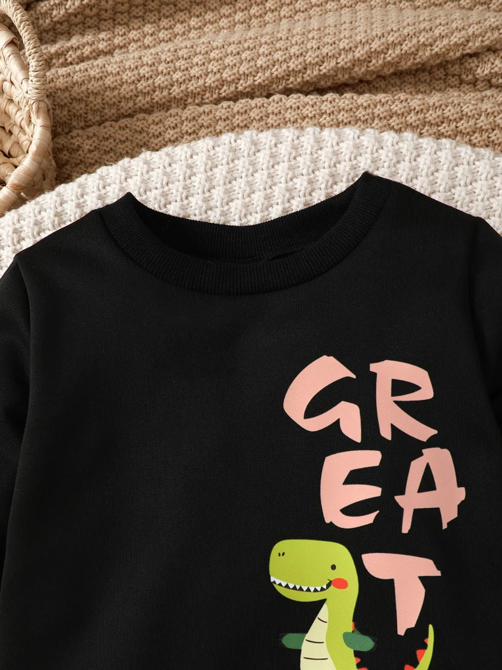 Children's Dinosaur Graphic Sweatshirt and Pants Set Black / 4Y 